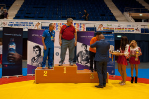 19.07 (594)